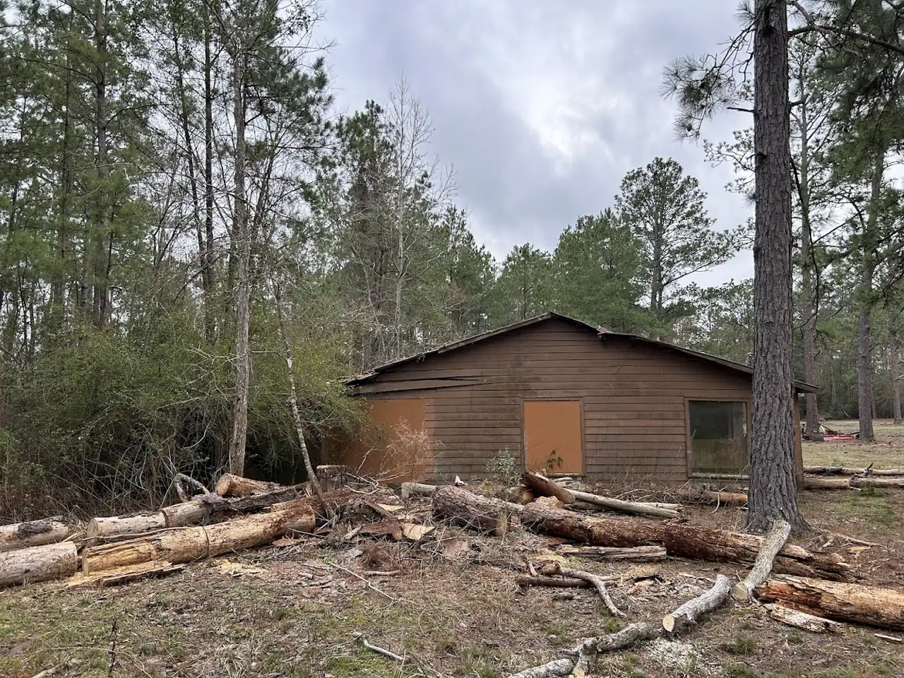 Logs cut and stacked after a tree job by Nevils Tree Service